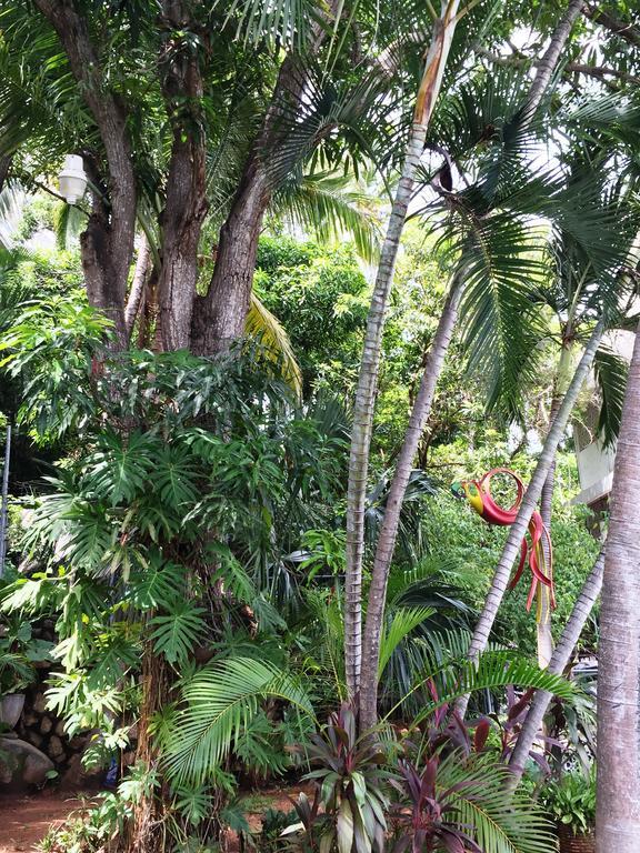 Villa Costa Chica Comodisimo Piscina Gigante Jardines أكابولكو المظهر الخارجي الصورة